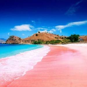 pink-beach-lombok_original